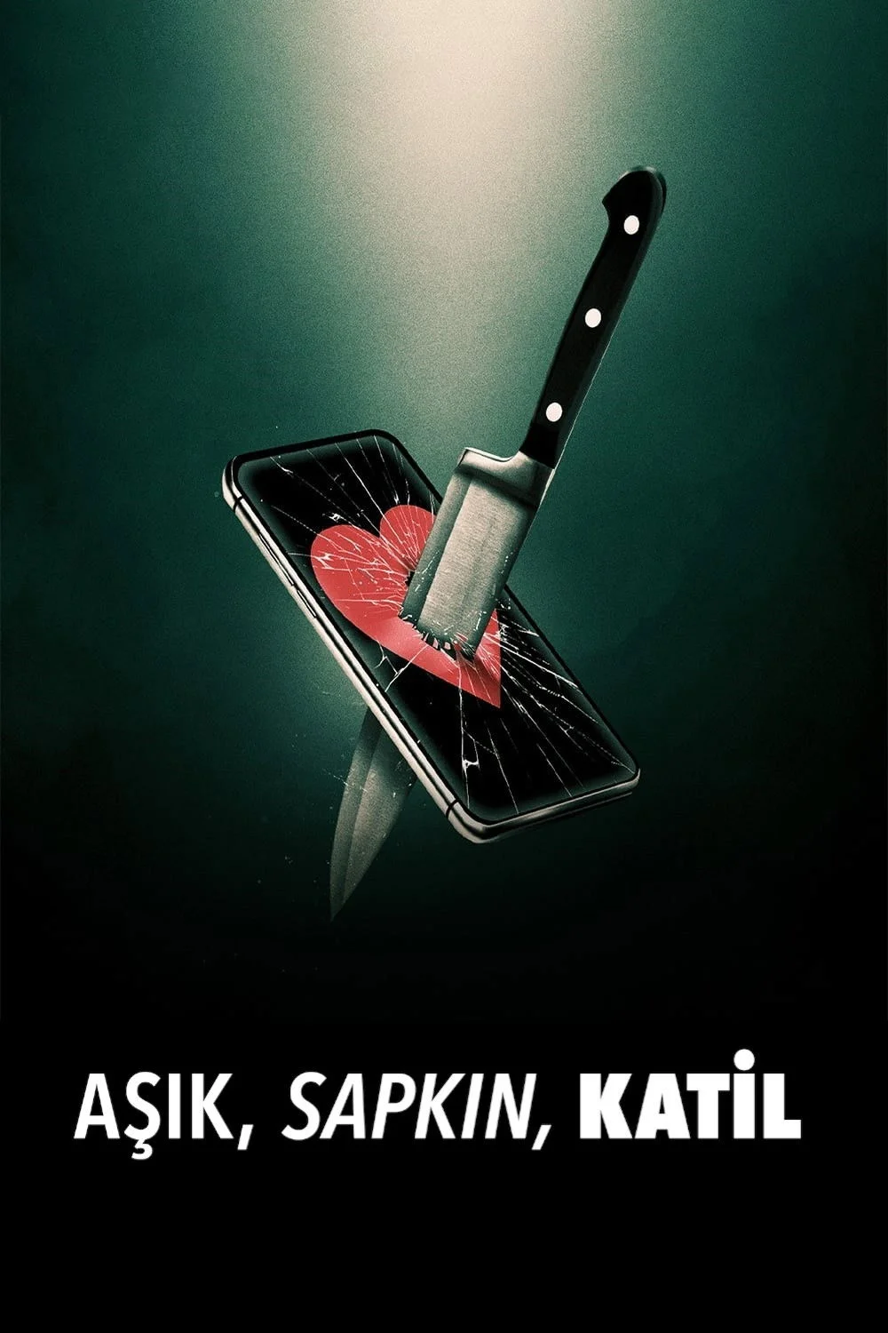Erişim doğrulanıyor