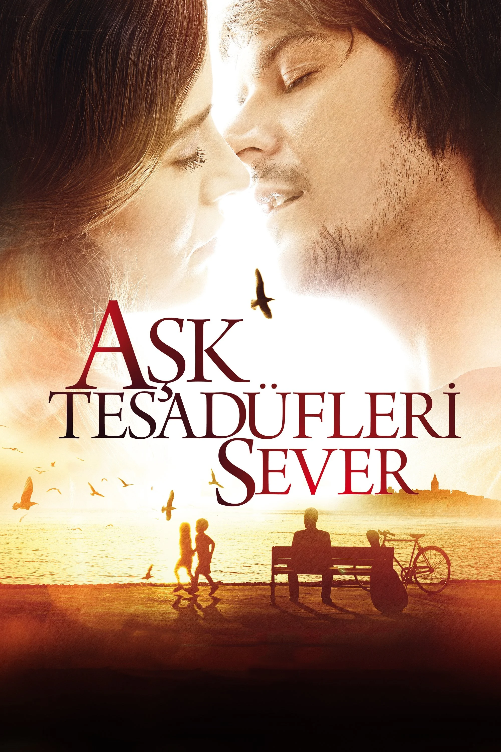 Erişim doğrulanıyor