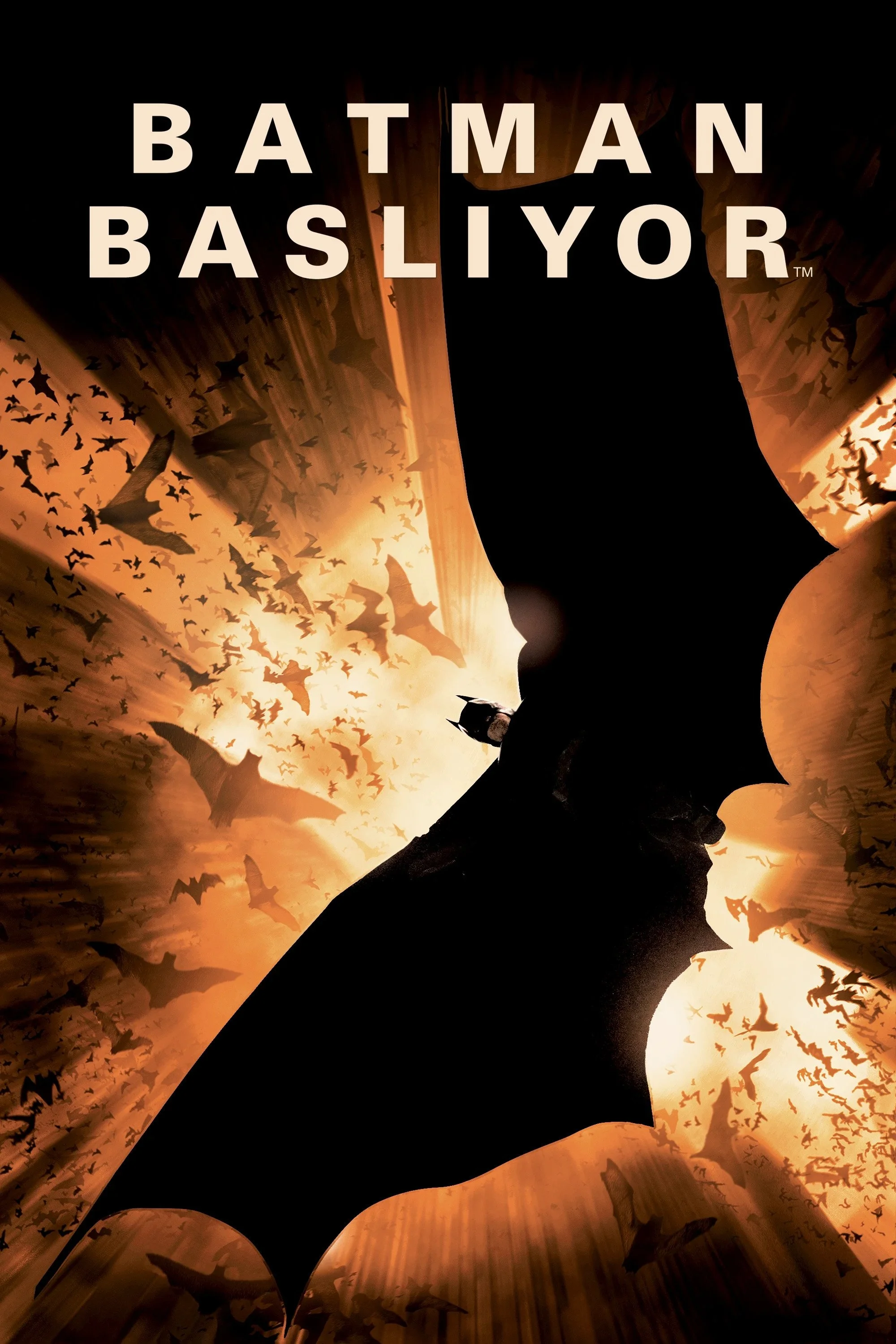 Erişim doğrulanıyor