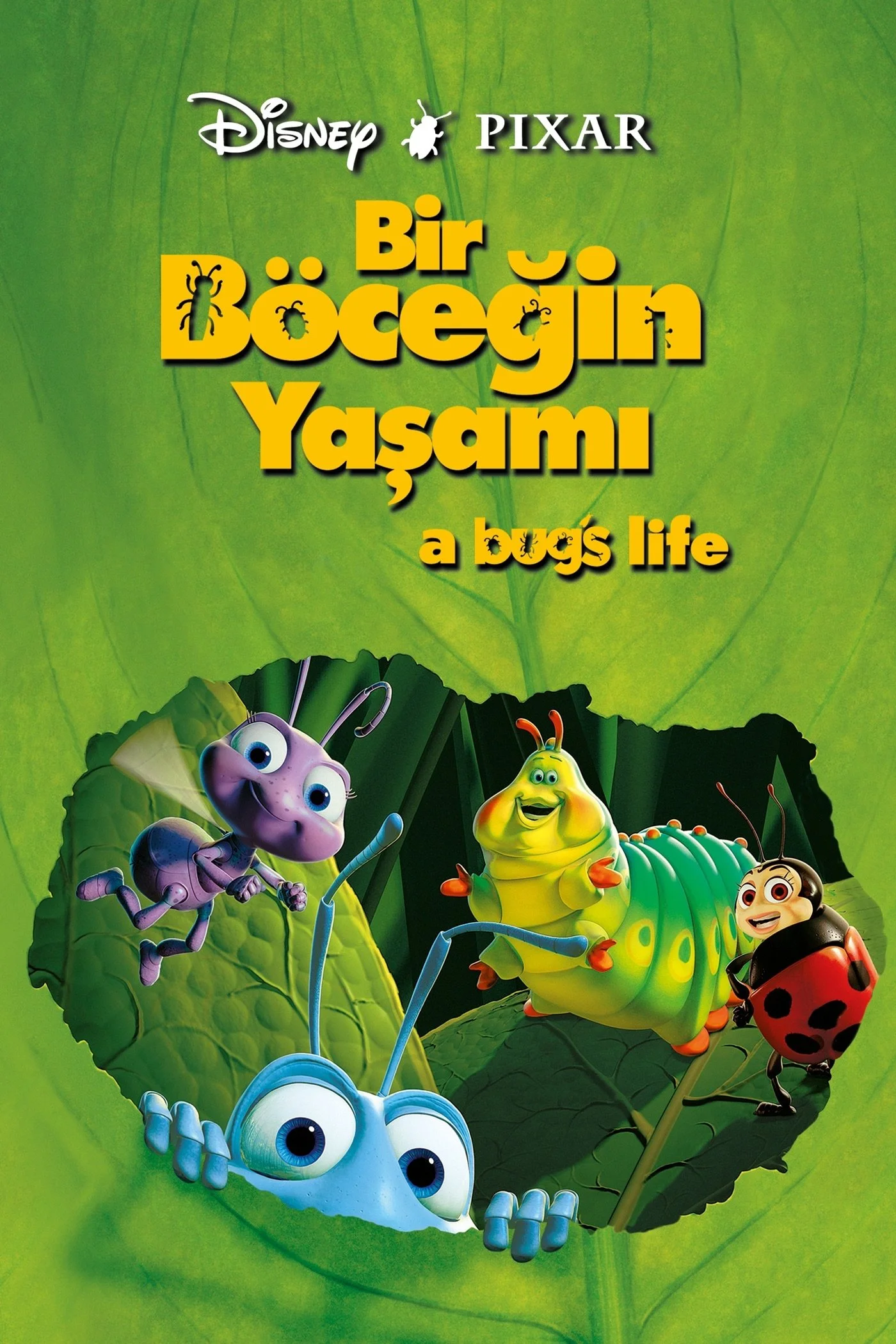 Erişim doğrulanıyor