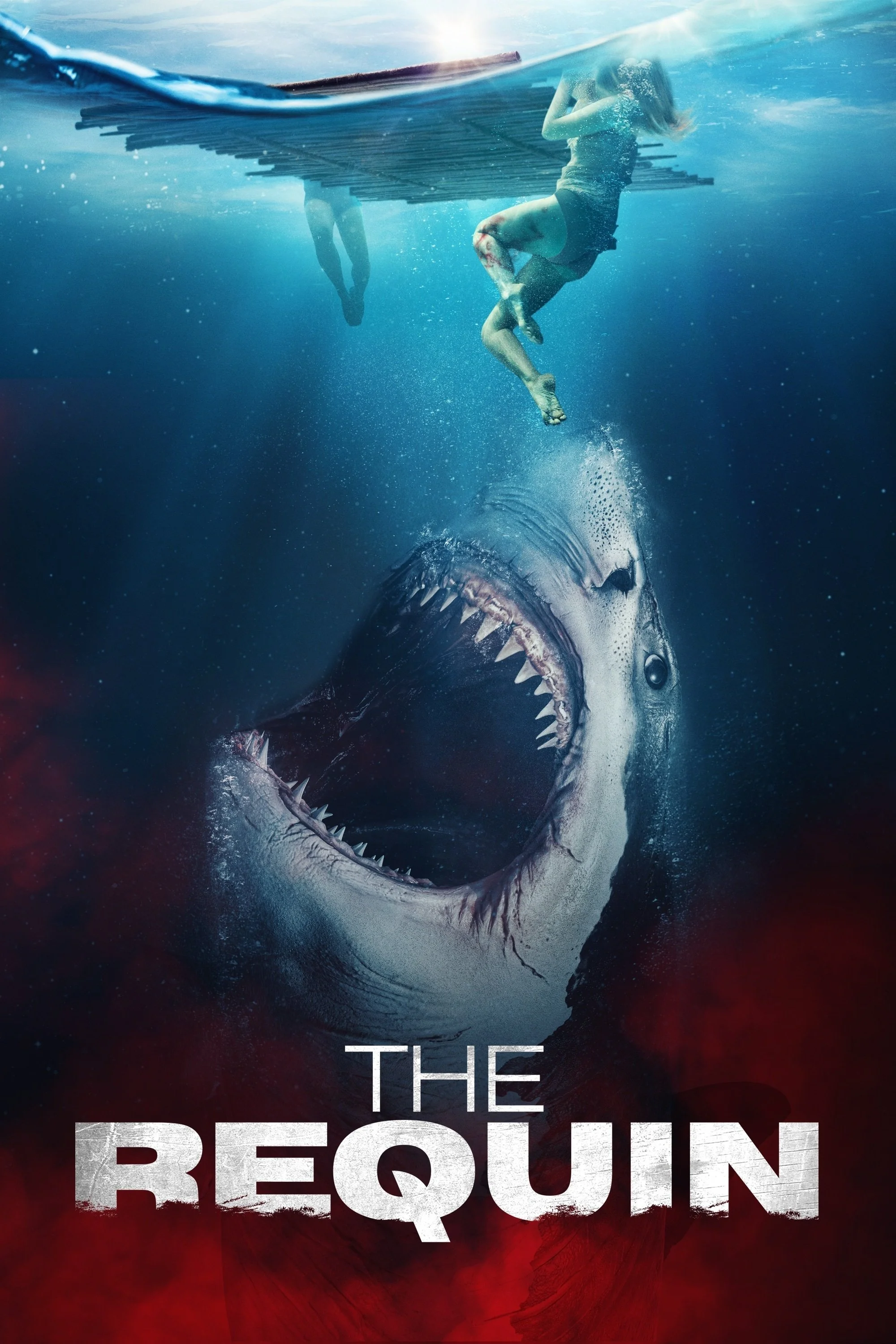 Erişim doğrulanıyor