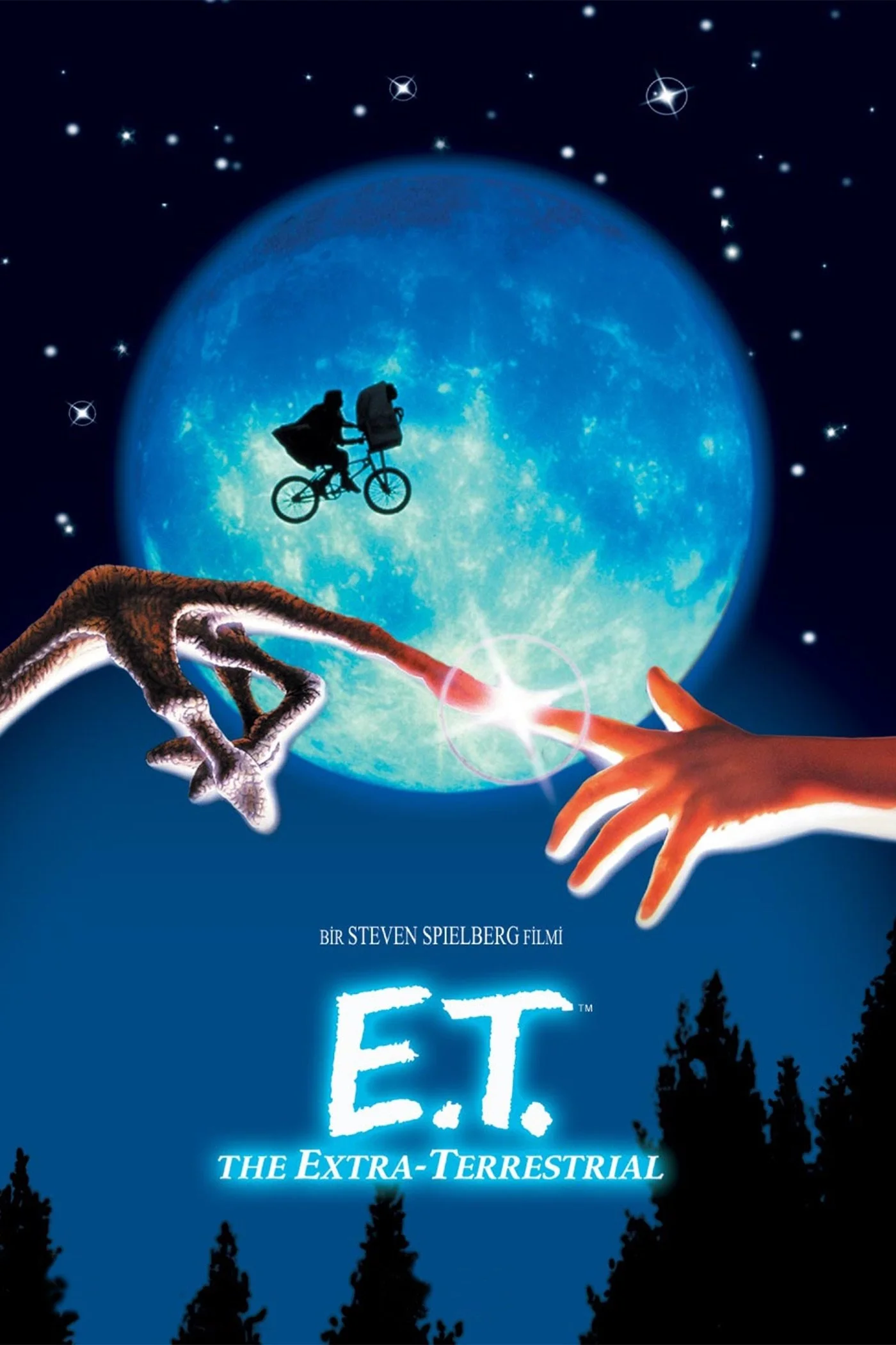 Erişim doğrulanıyor