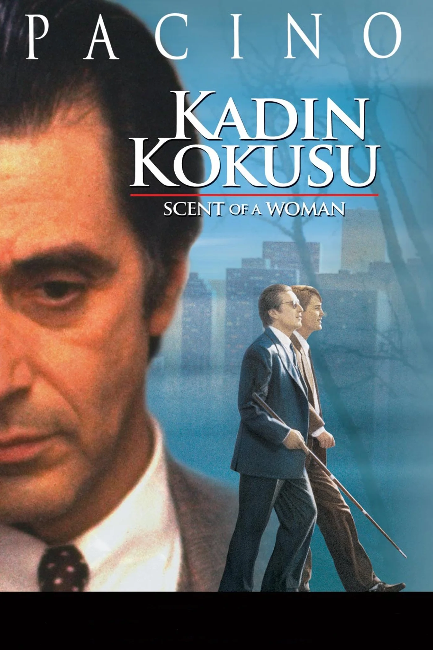 Erişim doğrulanıyor