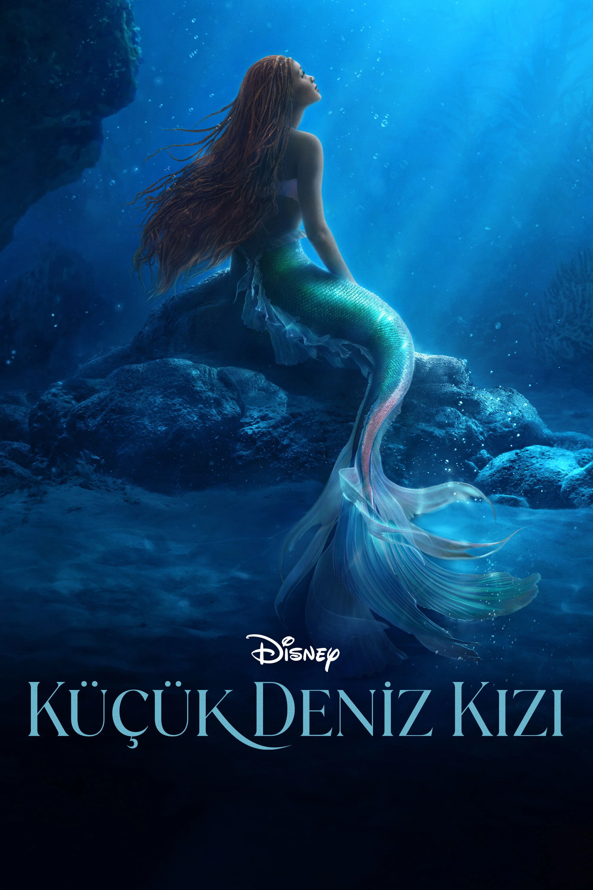 Erişim doğrulanıyor