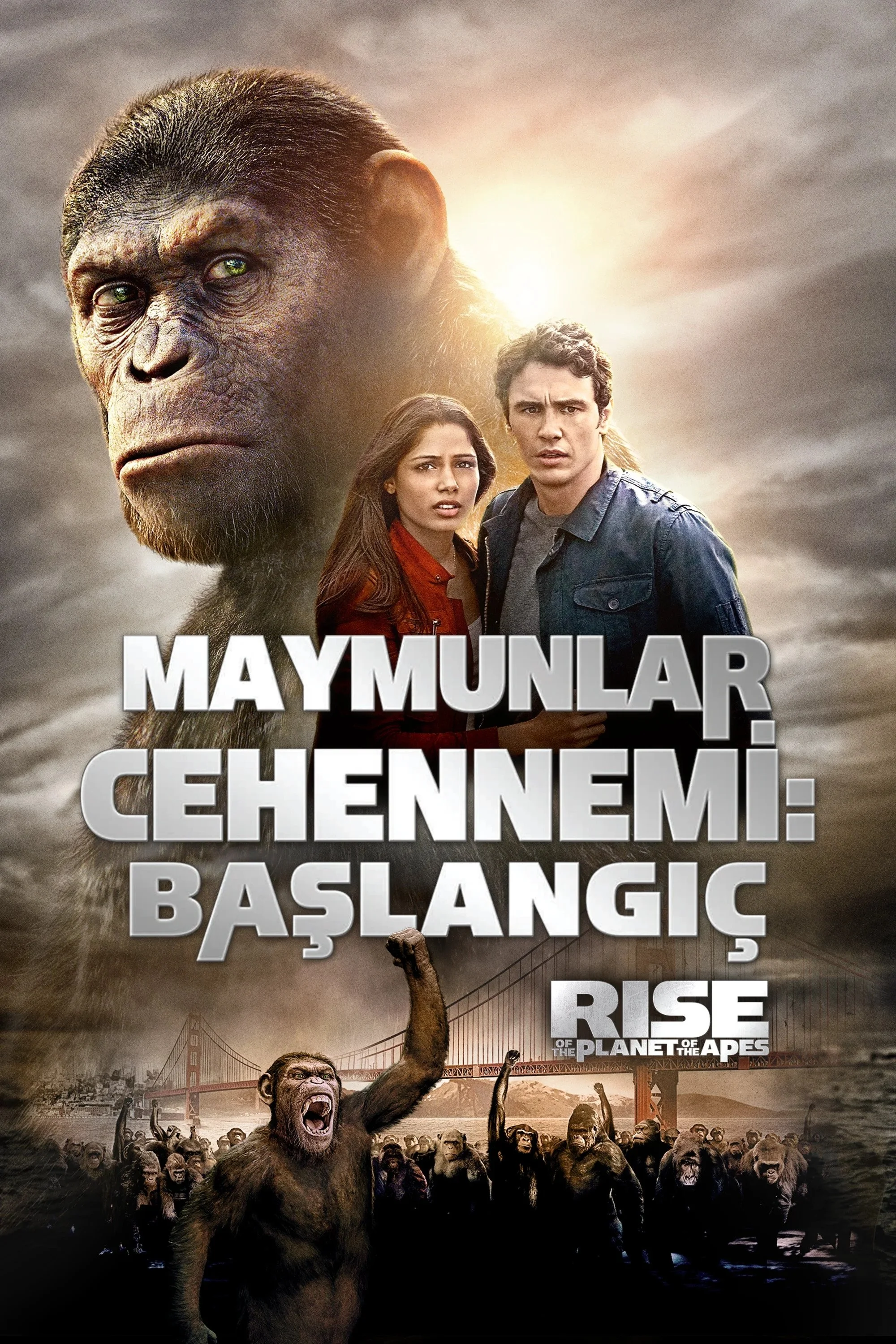 Erişim doğrulanıyor