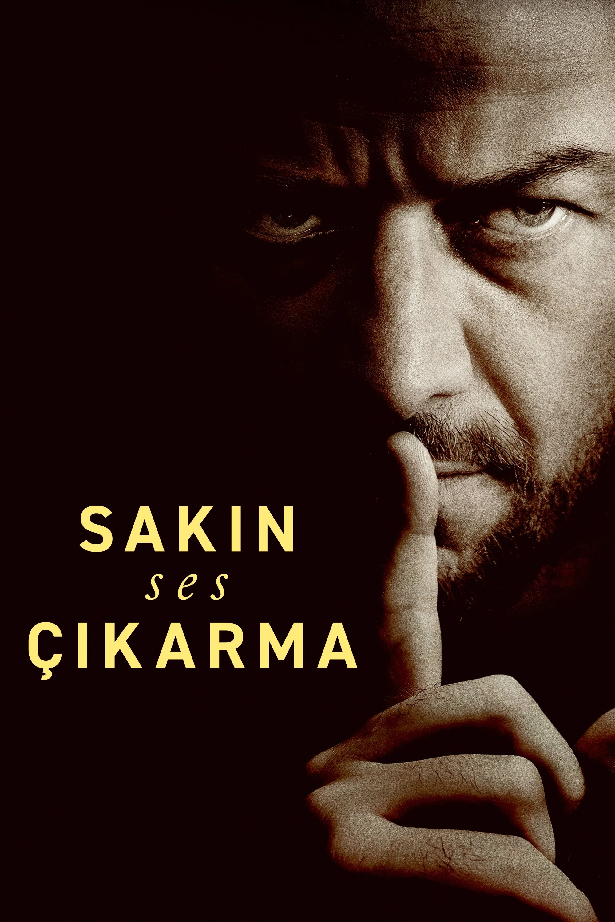 Erişim doğrulanıyor