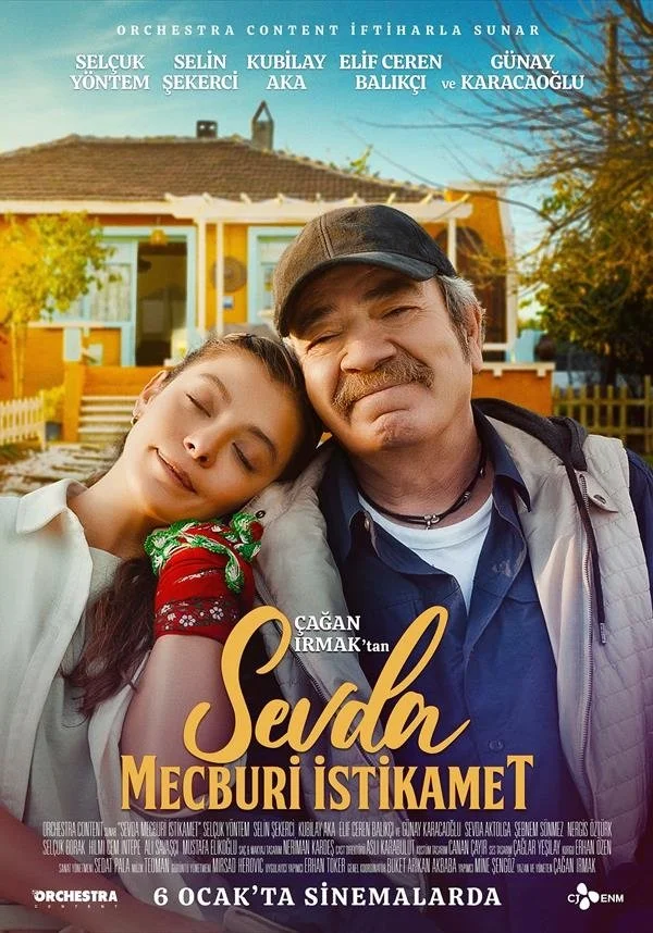 Erişim doğrulanıyor