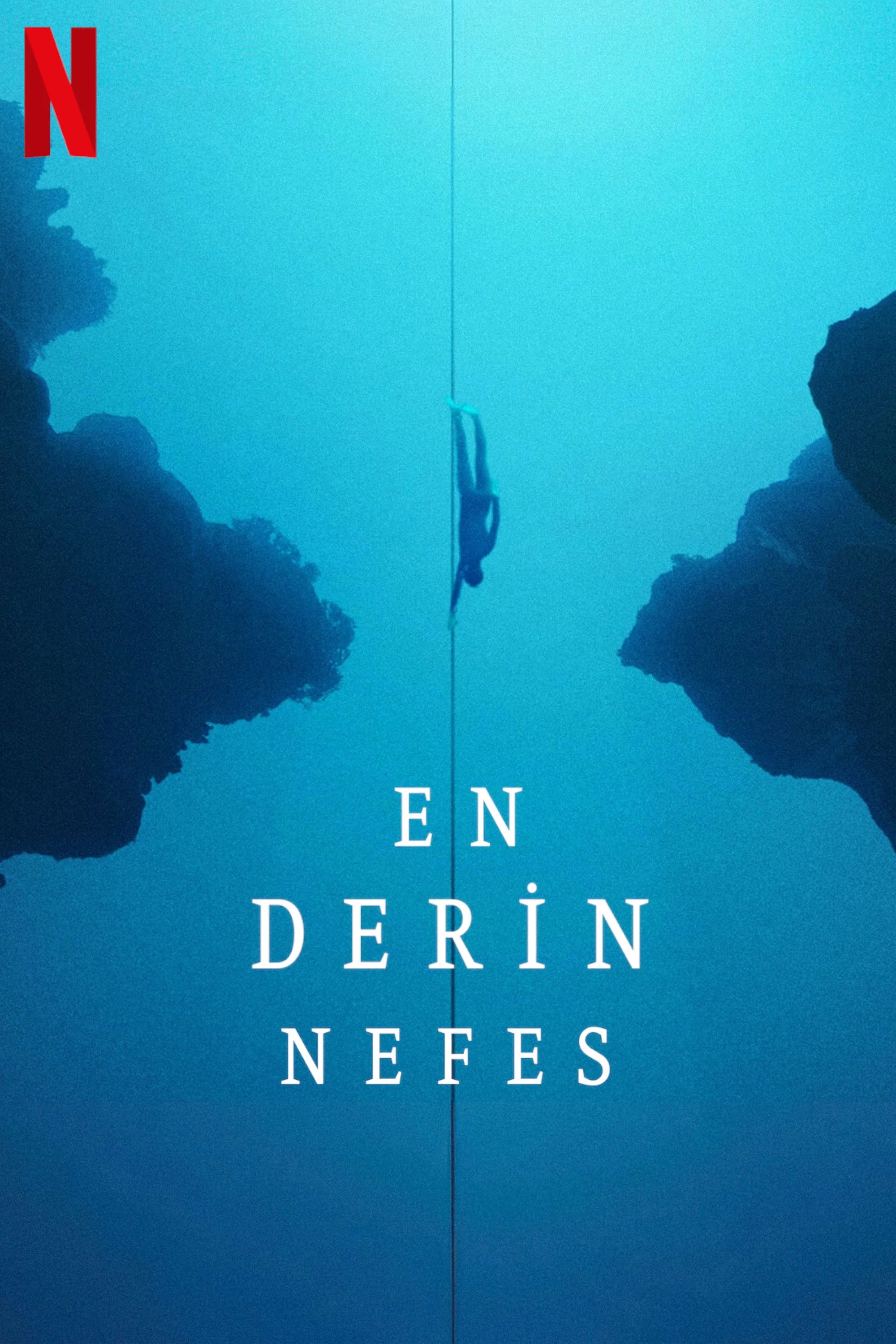 Erişim doğrulanıyor