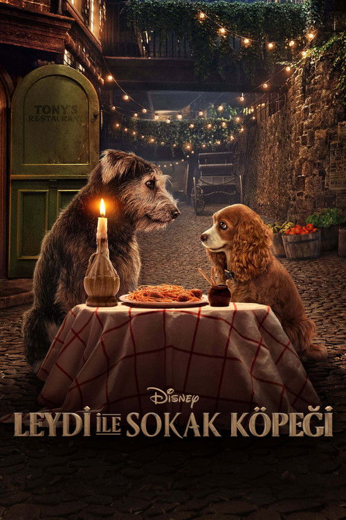 Erişim doğrulanıyor