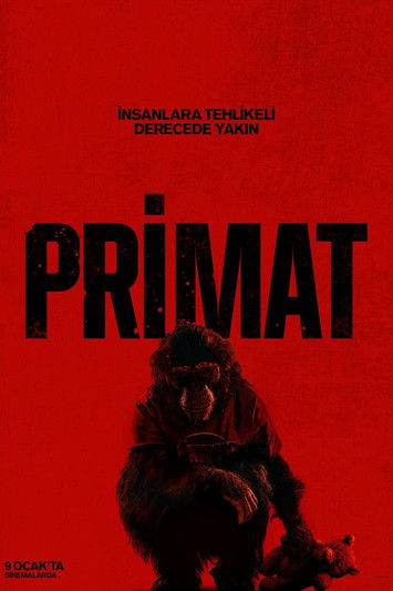 Erişim doğrulanıyor