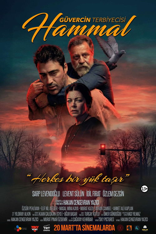 Erişim doğrulanıyor