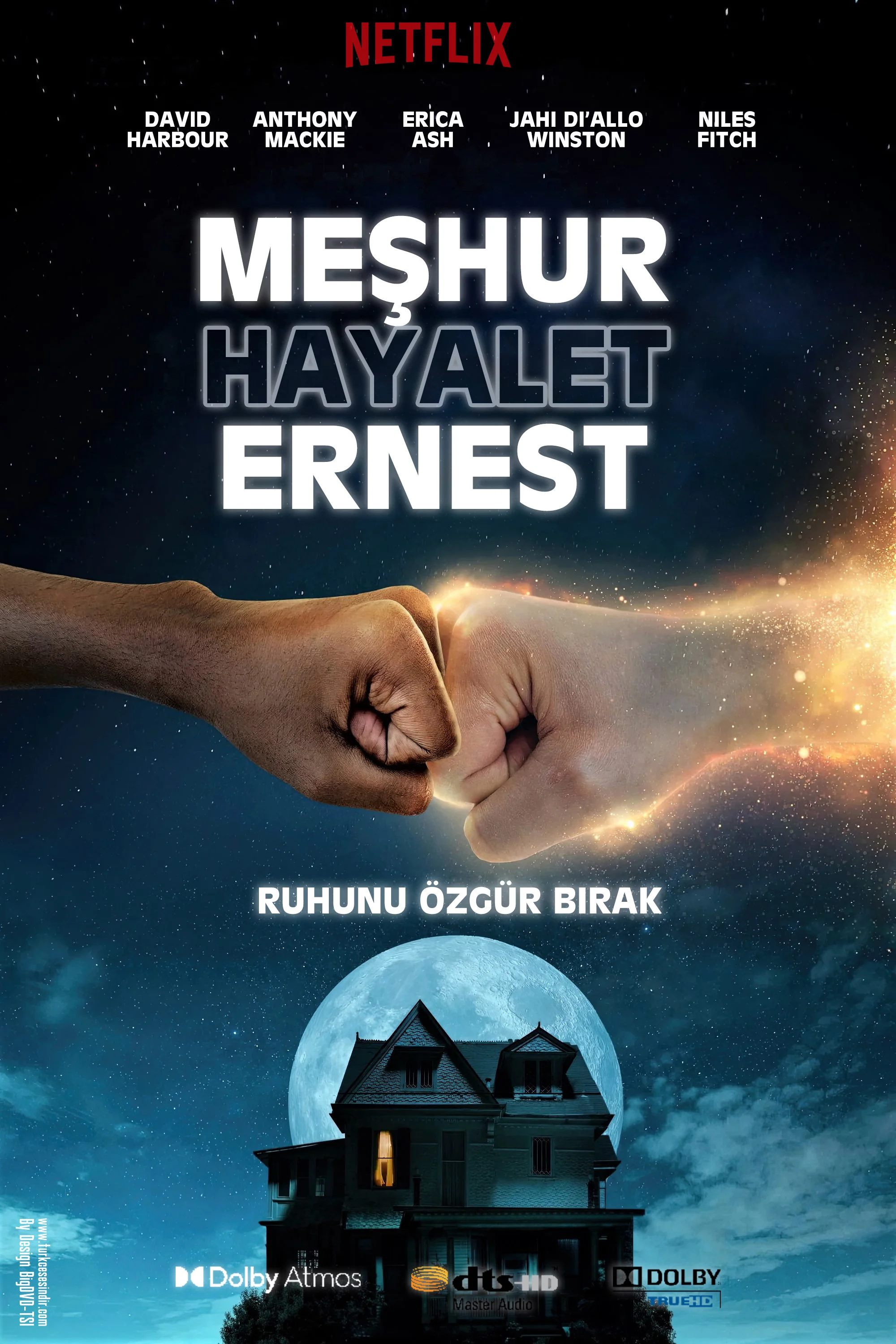 Erişim doğrulanıyor