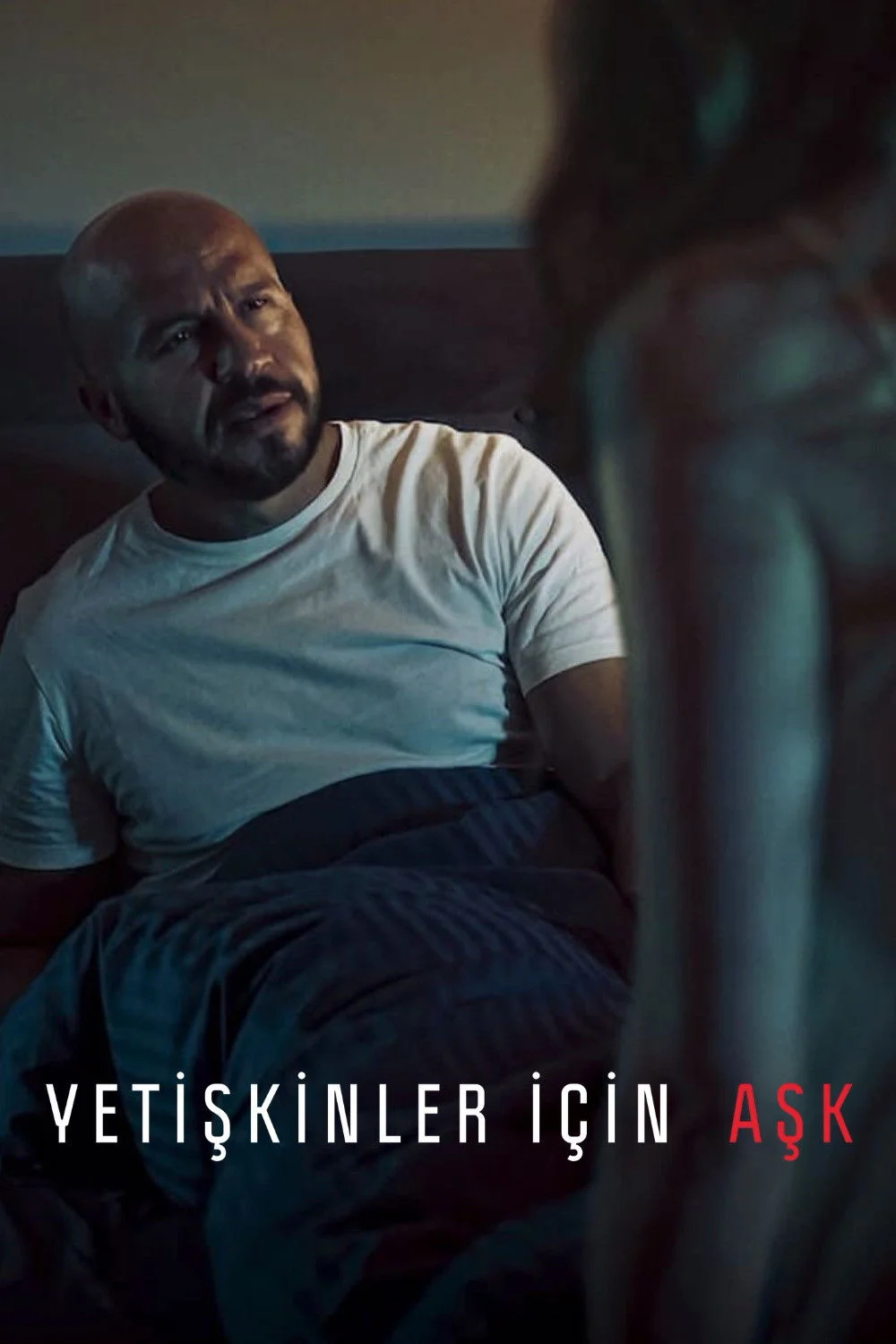 Erişim doğrulanıyor